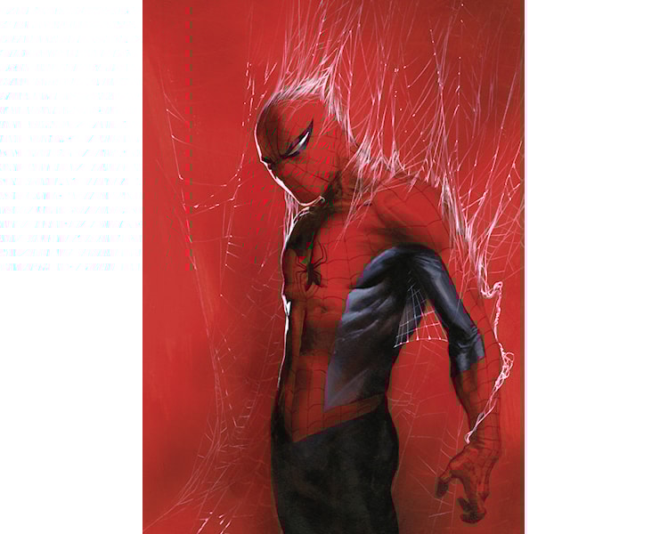 Marvel Spider-Man Through the Spider Web